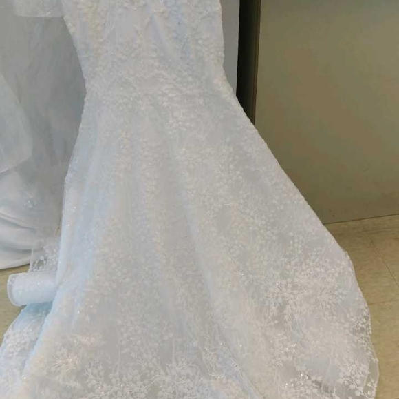 Tony Ward Nina Wedding Dress - Picture 14 of 16